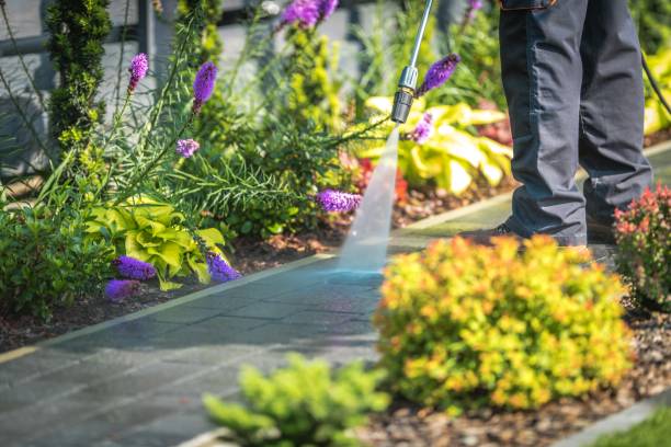 Best Driveway Pressure Washing  in , NJ