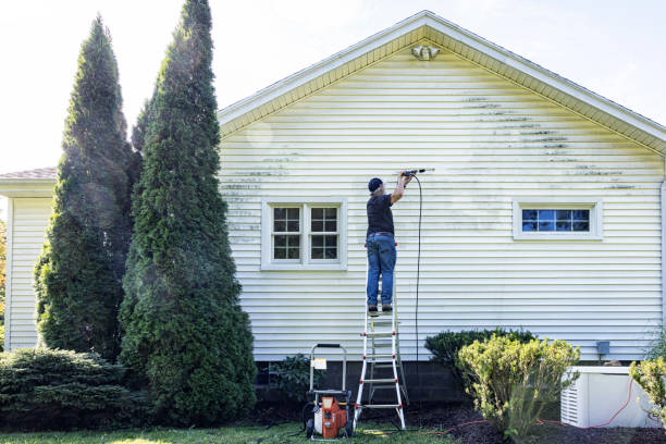 Best Building Exterior Washing  in , NJ
